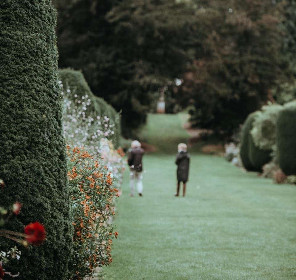 children on a fairy garden walk in Ireland trying to find all the fairy houses