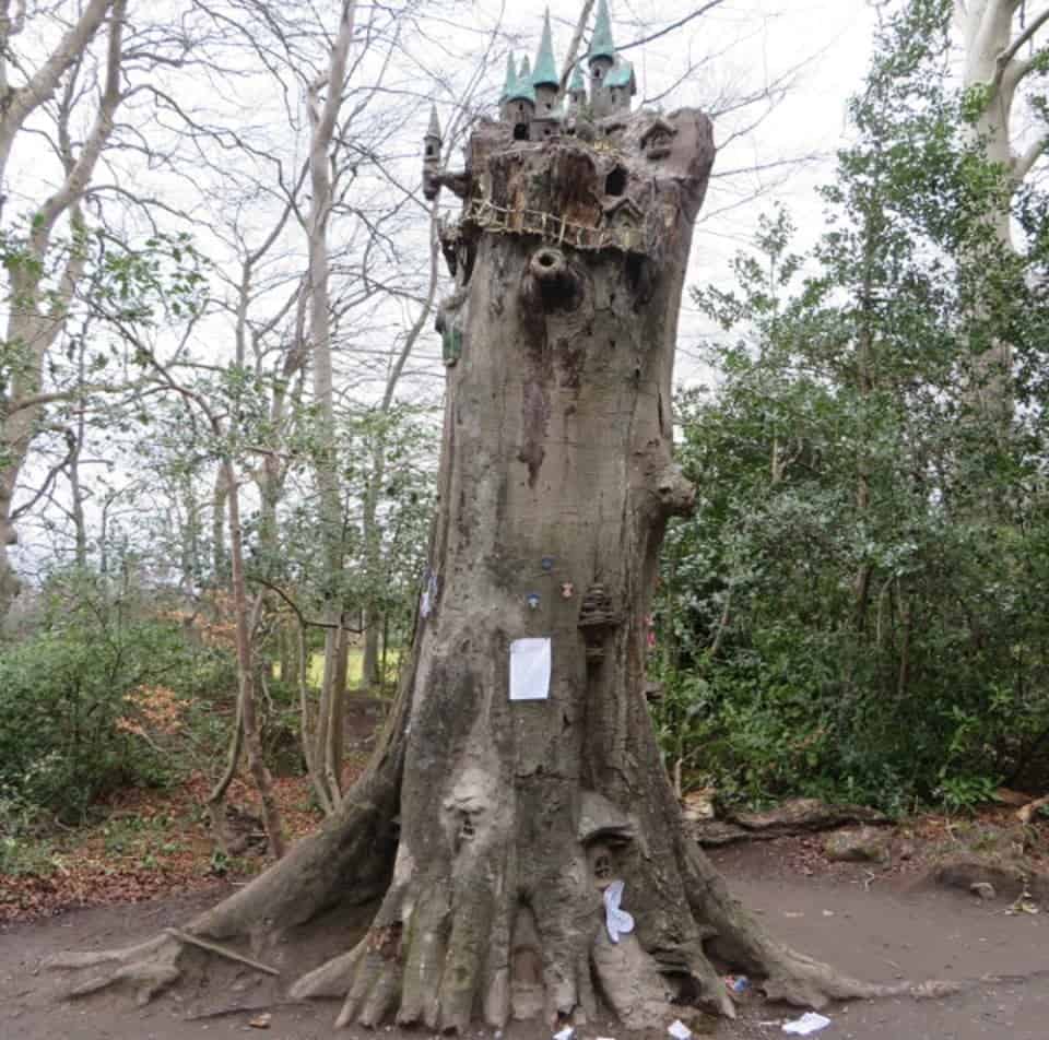 Fairy fort in a carved tree in one of Ireland many Fairy Gardens