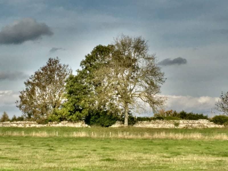 remains of the walls at Silchester