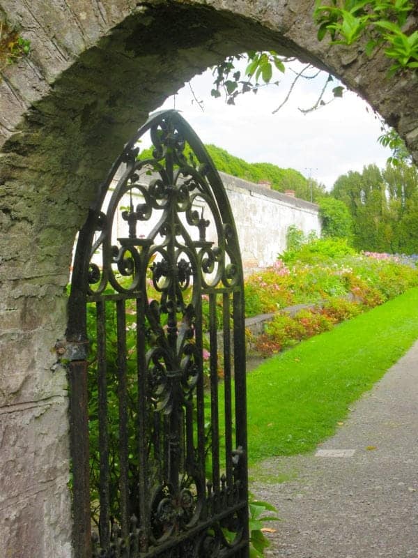Birr Castle Gardens where a cast iron gate stands slightly open inviting you into the garden beyond. The walled garden is a place of natural wildflowers, a kitchen garden and a cutting garden