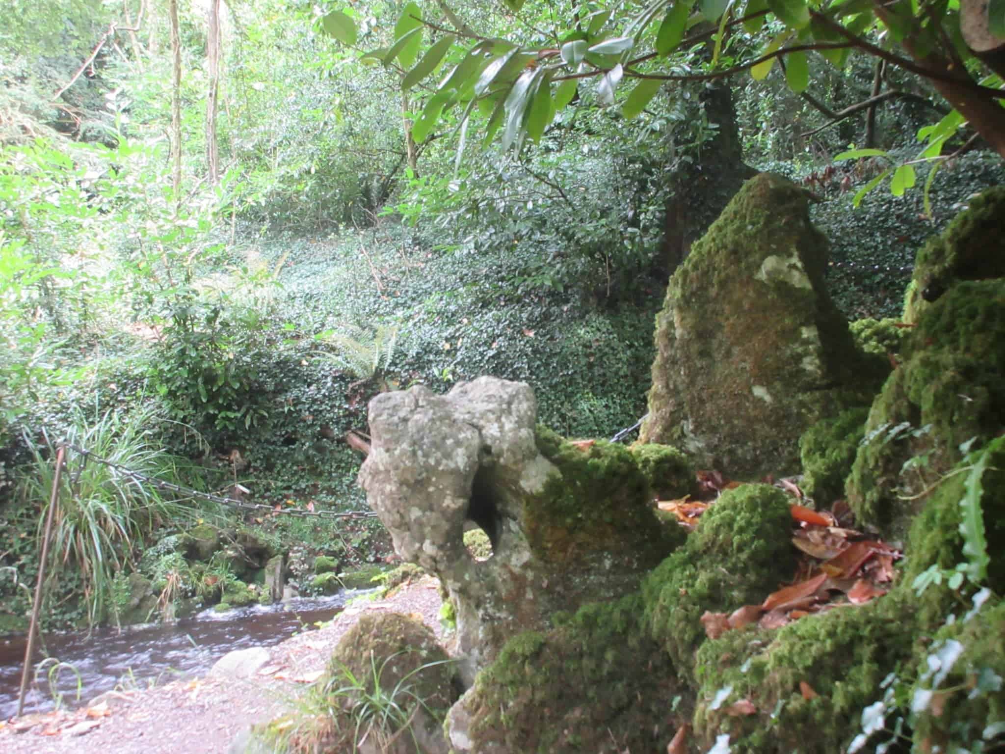 Visiting the distinguished Birr Castle Ireland