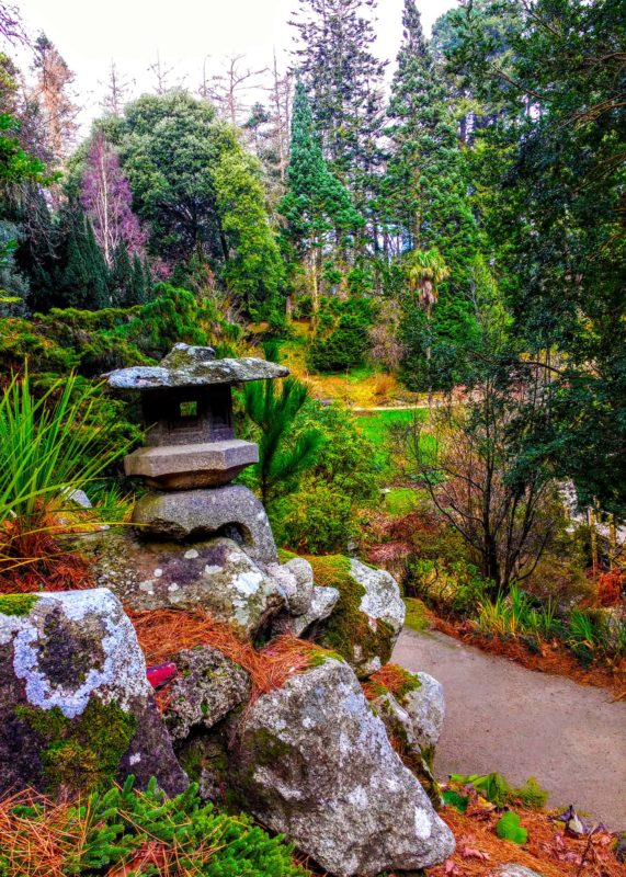 Exploring 27 Unique and Beautiful Gardens of Ireland