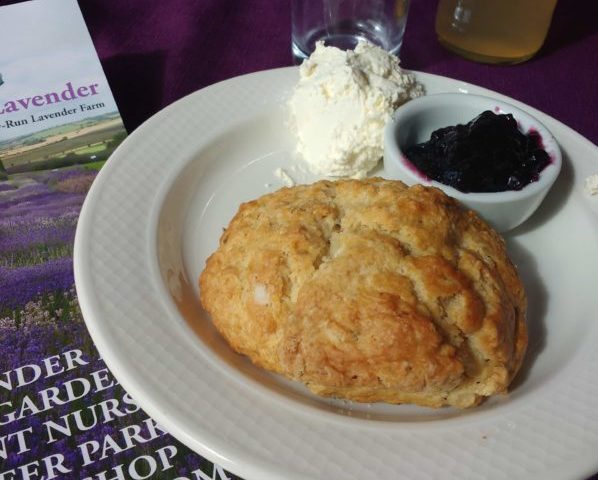 Lavender scones in Yorkshire travelling for flowers