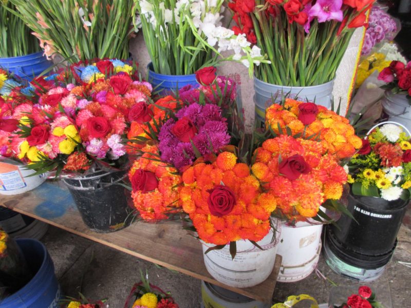 touring the Lucas Galvez Market in MErida