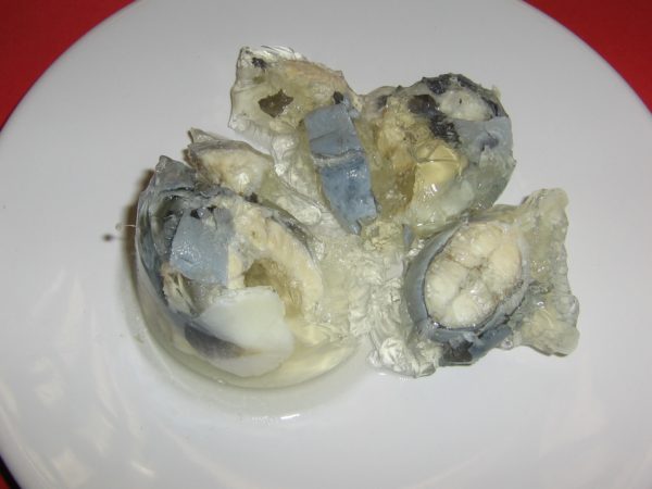 a plate of eels in jelly a traditional English food dish