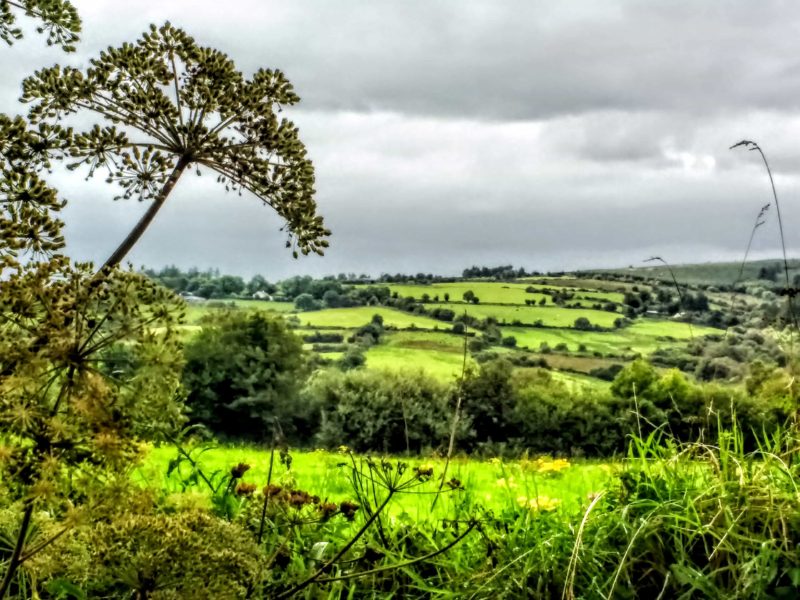 the Golden Vale of Tipperary one of the most magical areas in Ireland