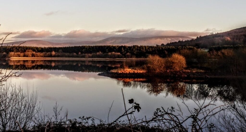 blessington lakes