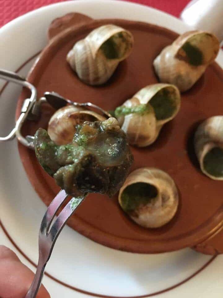 the eating of weird food may include this plate of snails in France a totally acquired taste