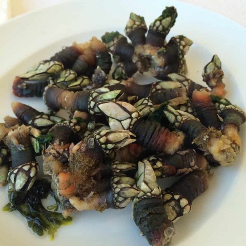the truly weird food in Portugal percebes