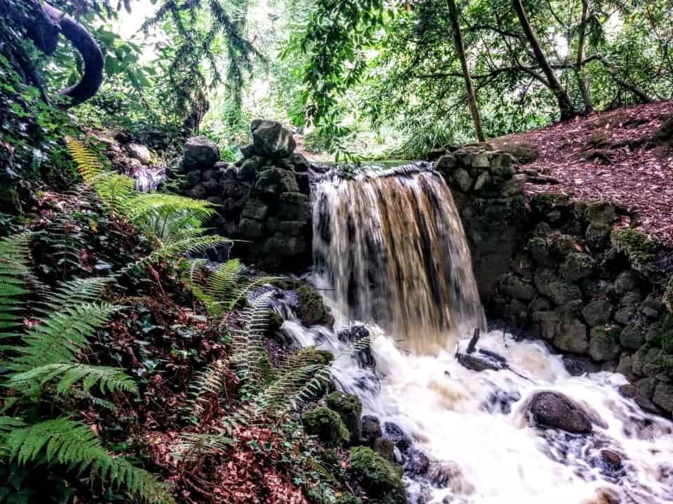 Exploring 27 Unique and Beautiful Gardens of Ireland