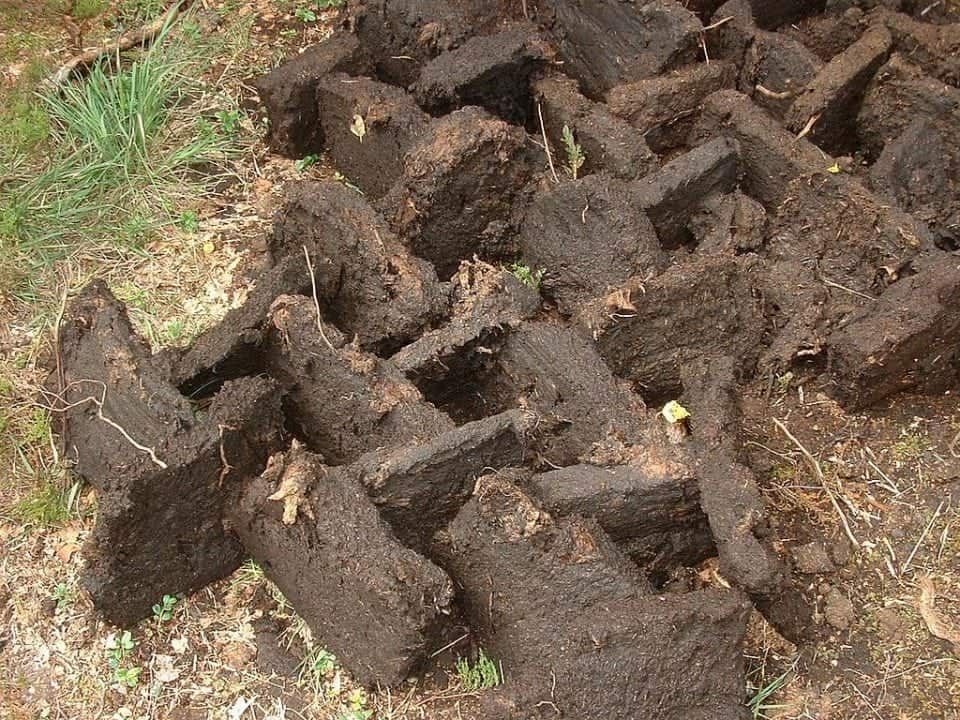 blocks of peat or turf drying in the sun to be used in Irish fireplaces