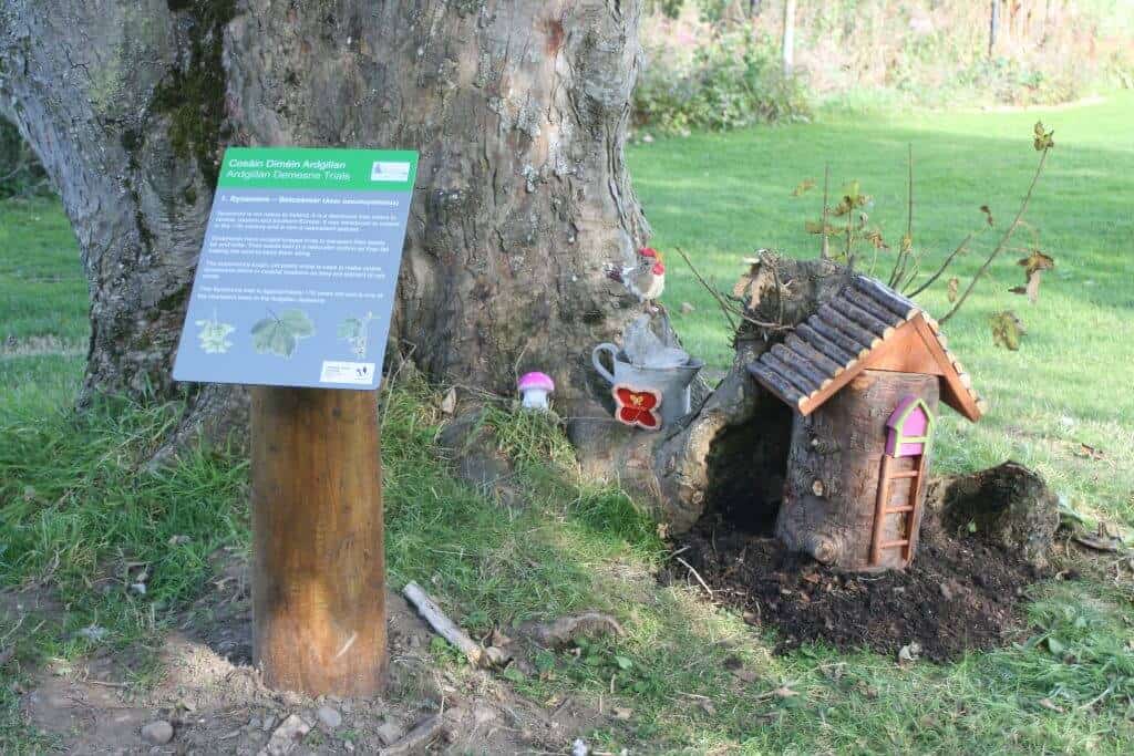 Finding Irish Fairies and fairy gardens in Ireland