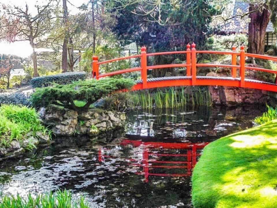 the Japanese garden at the National Stud with a red bridge corssing a lily pond