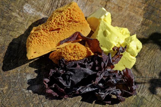 Traditional foods of Ireland Dulse and Yellowman