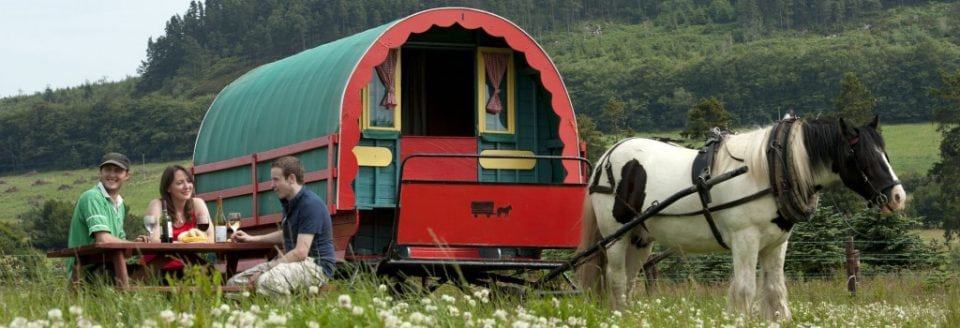 stay in a gypsy caravan in Ireland