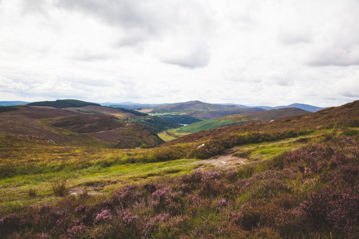 Best things to do on a Wicklow Mountains Road Trip