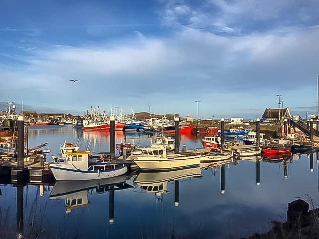 Ireland Road Trip to Howth harbour with the fishing boats