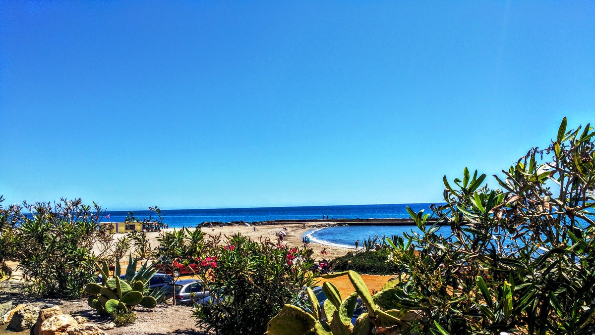 Mojácar Spain one of the many Blue Flag beaches with desert cactus and flowers blooming deep pink in the foreground.