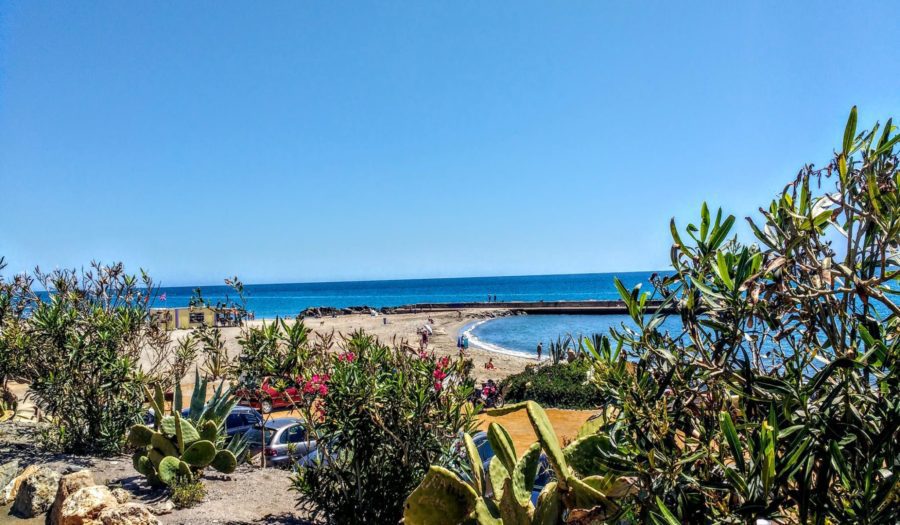 Mojácar Spain one of the many Blue Flag beaches with desert cactus and flowers blooming deep pink in the foreground.