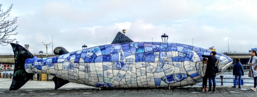 The big fish or the Salmon of Knowledge Irish tourist traps