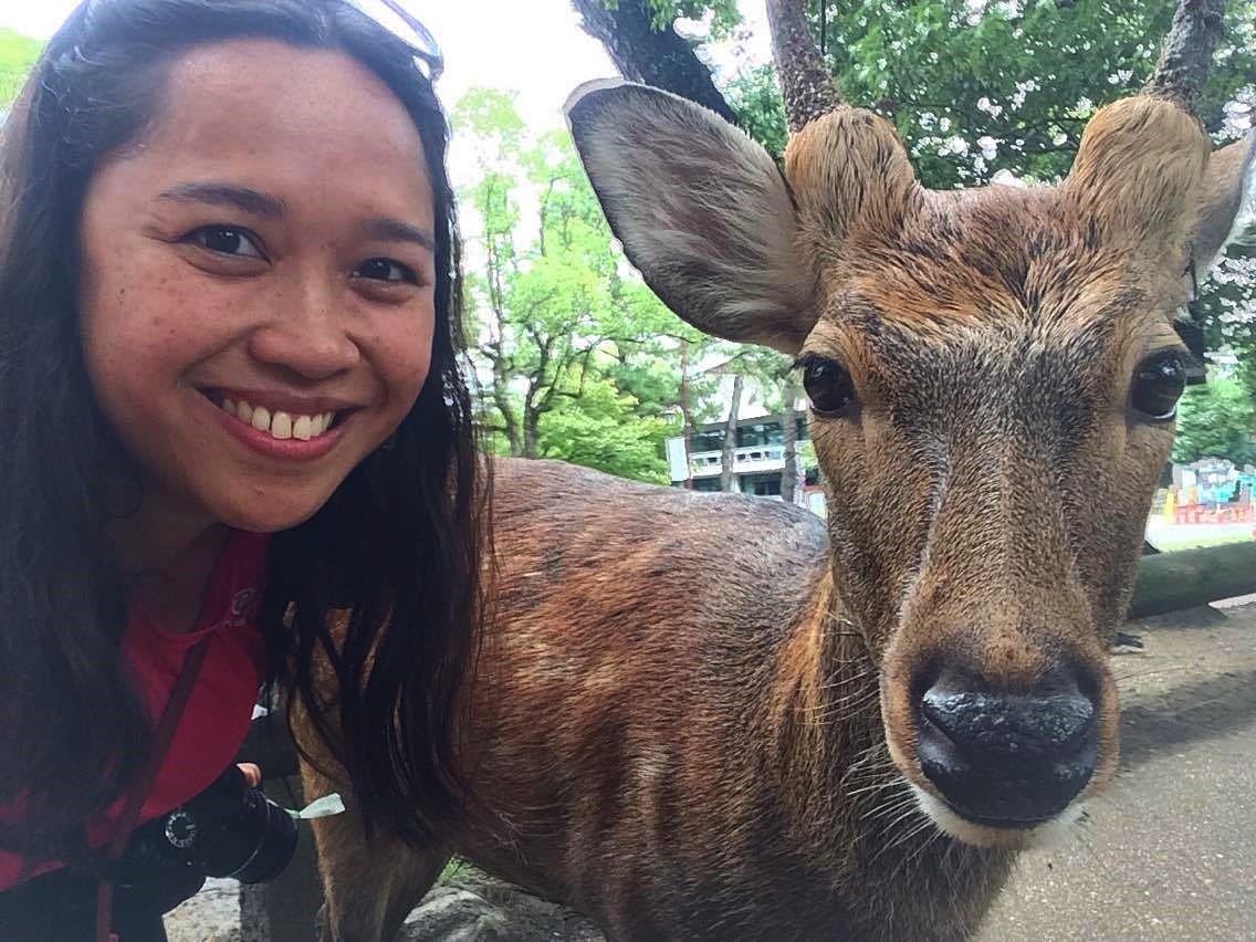 Animal-Friendly Travel & Tourism - Travel Writers on their animal encounters