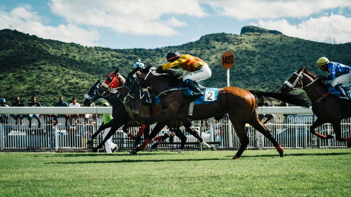 Horses racing on the track in front of Dublin Mountains