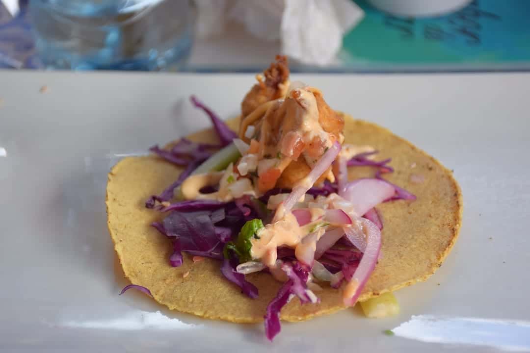 a beautiful fresh seafood taco with fish, red cabbage, onion and a spicy dressing