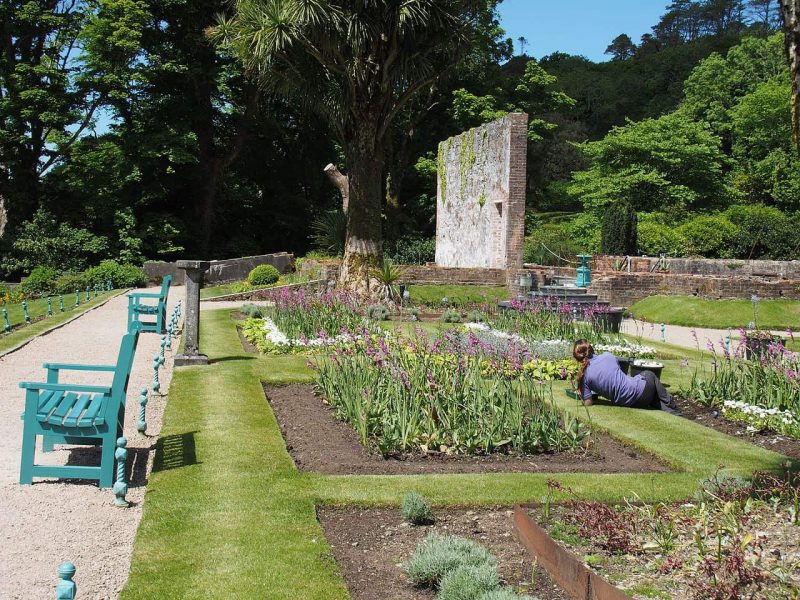 Exploring 27 Unique and Beautiful Gardens of Ireland