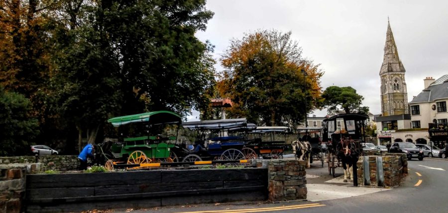 All the best things to do in Killarney in the town square there are several jaunting carts in bright colours with their drivers and horses. There is a small cathedral spire in the background