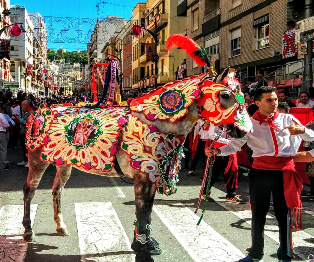 caravaca de la Cruz Wine Horses festival the decorated horses