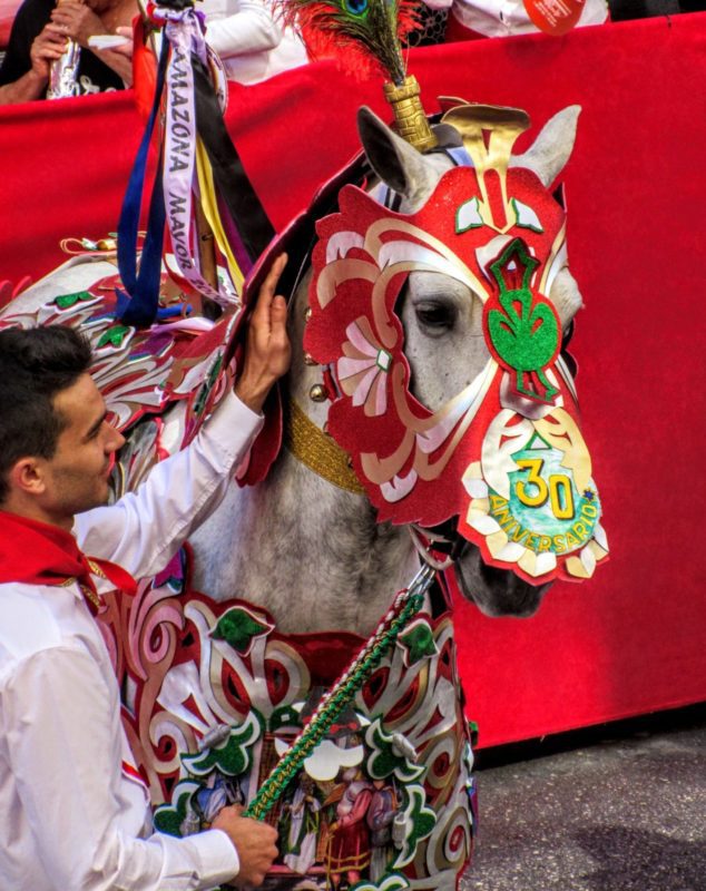 a decorated horse for the Wine Horses Festival 