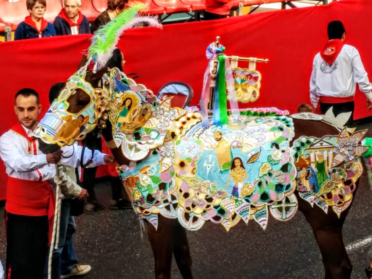 Caravaca de la Cruz Festival of Horses and Wine