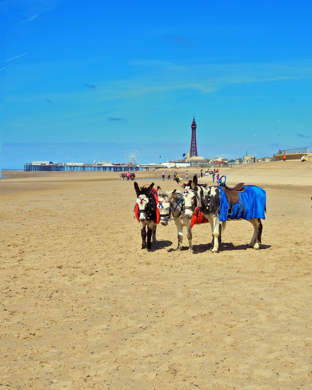 25 Attractions and things to do in Blackpool to enjoy