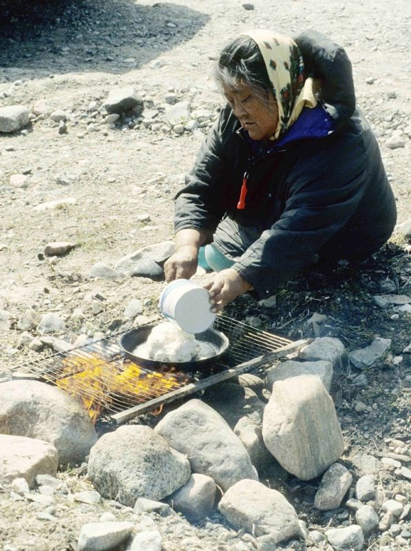 Indigenous foods around the world