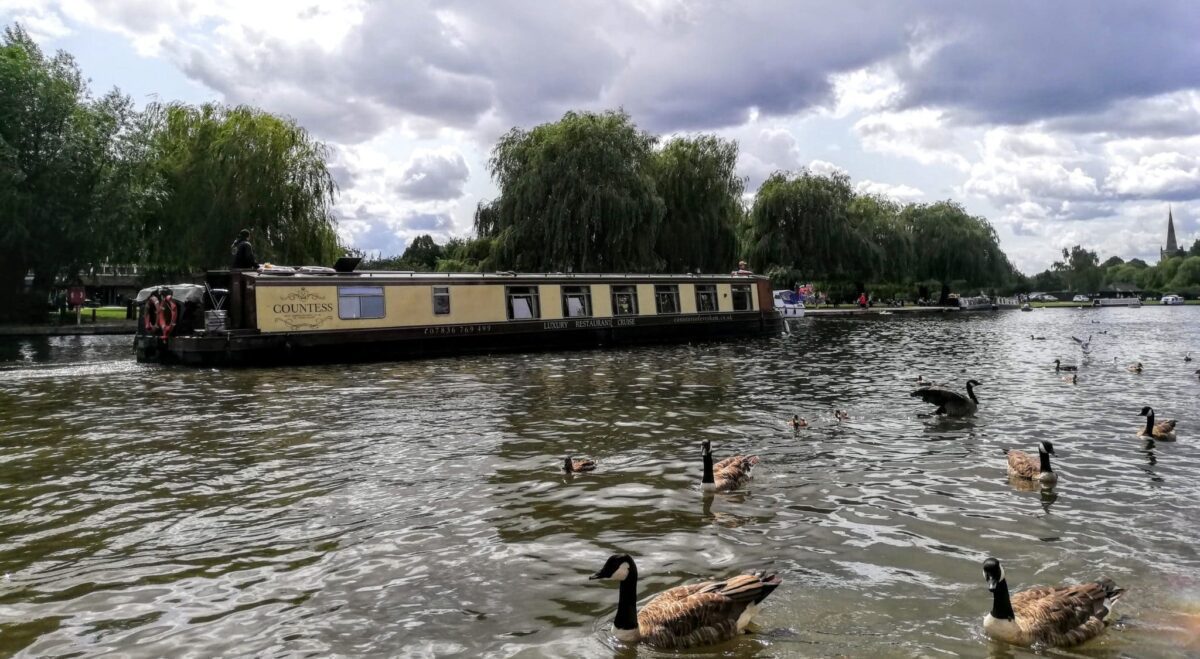 A narrow boat on the River Avon things to do in Stratford upon Avon