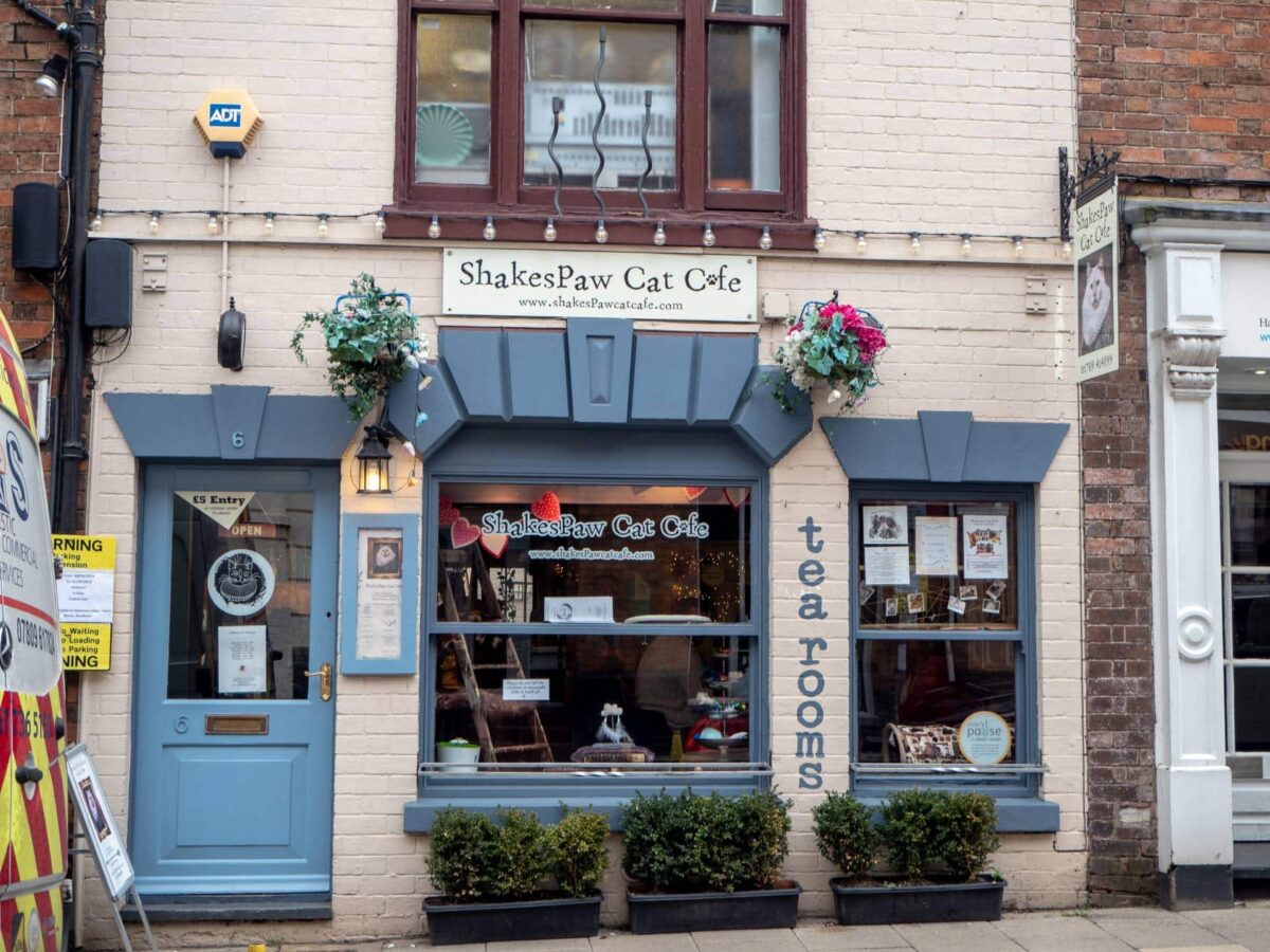 The front of the Shakespaw Cat Cafe in Stratford. A white brick building wth the doors and trim in blue