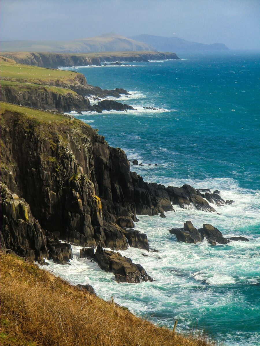 The best places to find Atlantic puffins in Ireland