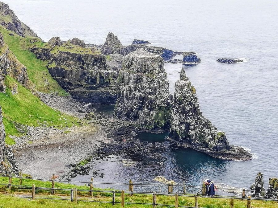 puffins on Rathlin Island