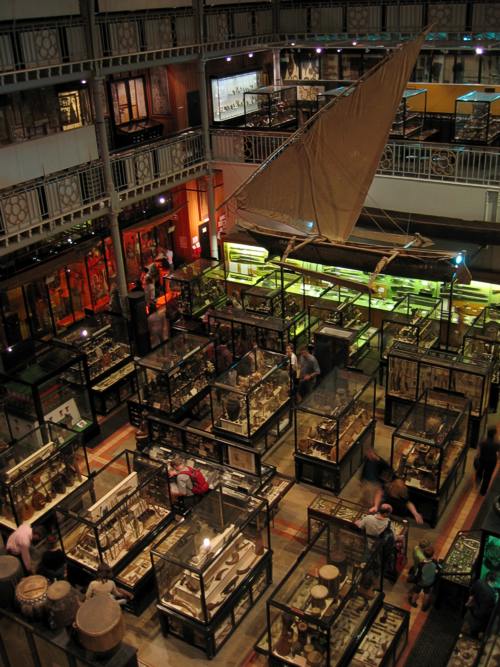 interior of Pitt River Museum Oxford