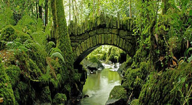 Best things to do in County Kilkenny