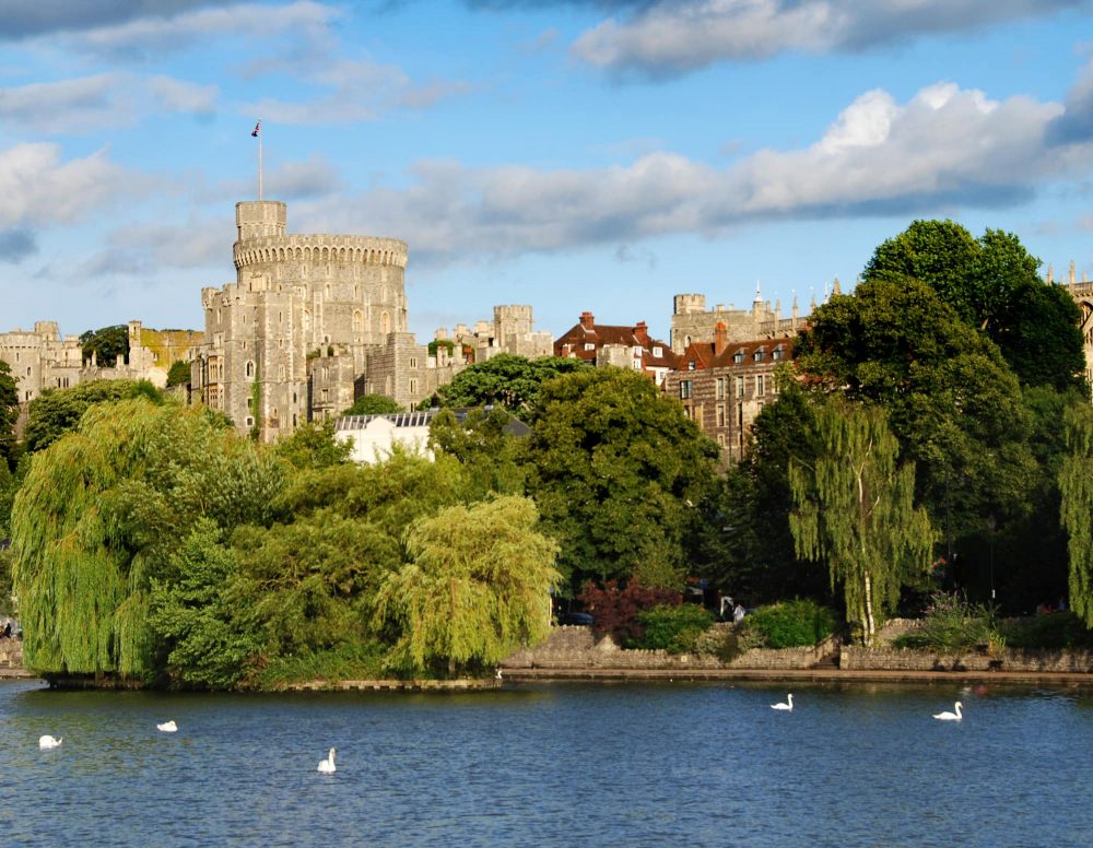 visiting Windsor Castle a view of Windsor Castle from the River Thames. Willow trees and swans swimming on the river