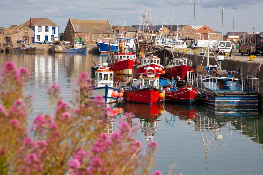 Boats in Howth harbor in summer, county Dublin, Ireland.