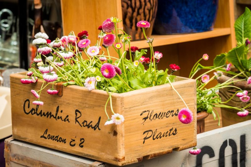 London, United Kingdom - April 30, 2017: Columbia Road Flower Sunday market. Wooden boxes in a shop display. Street markets in London