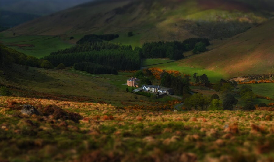 The Guinness Estate in the Wicklow Mountains. A huge white house that looks tiny in the distance surrounded by reddish brown hills and lots of pine trees.