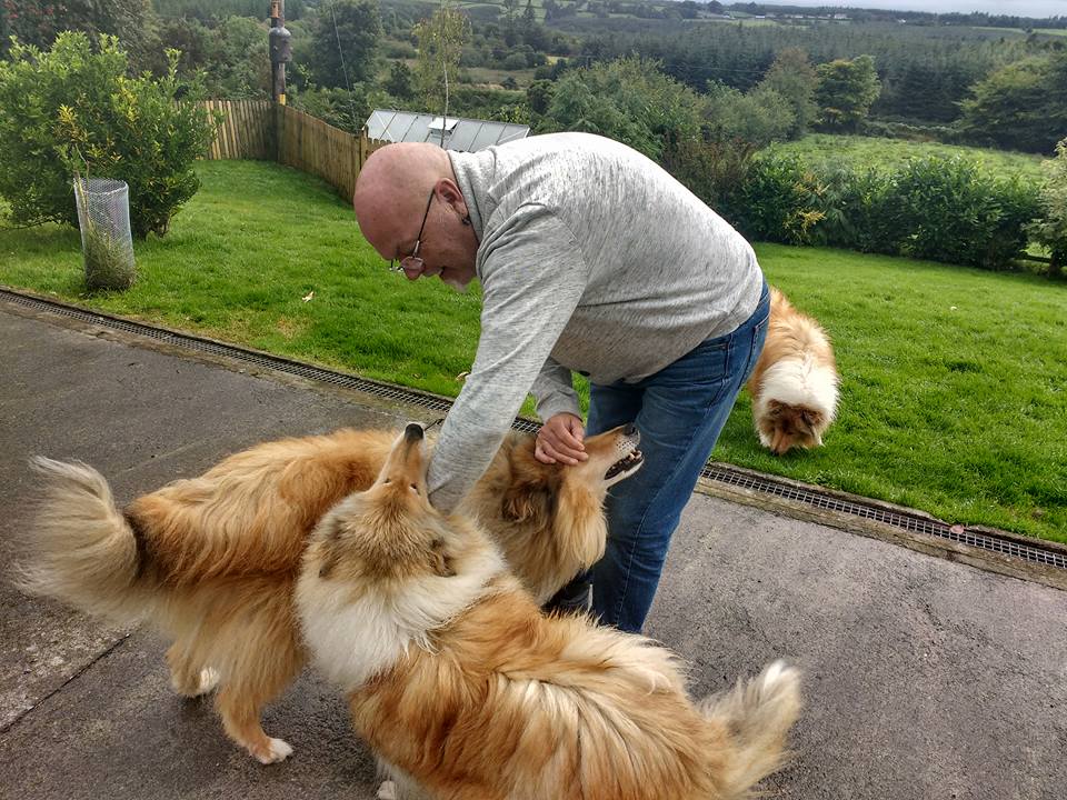Alan and 8 rough collies playing