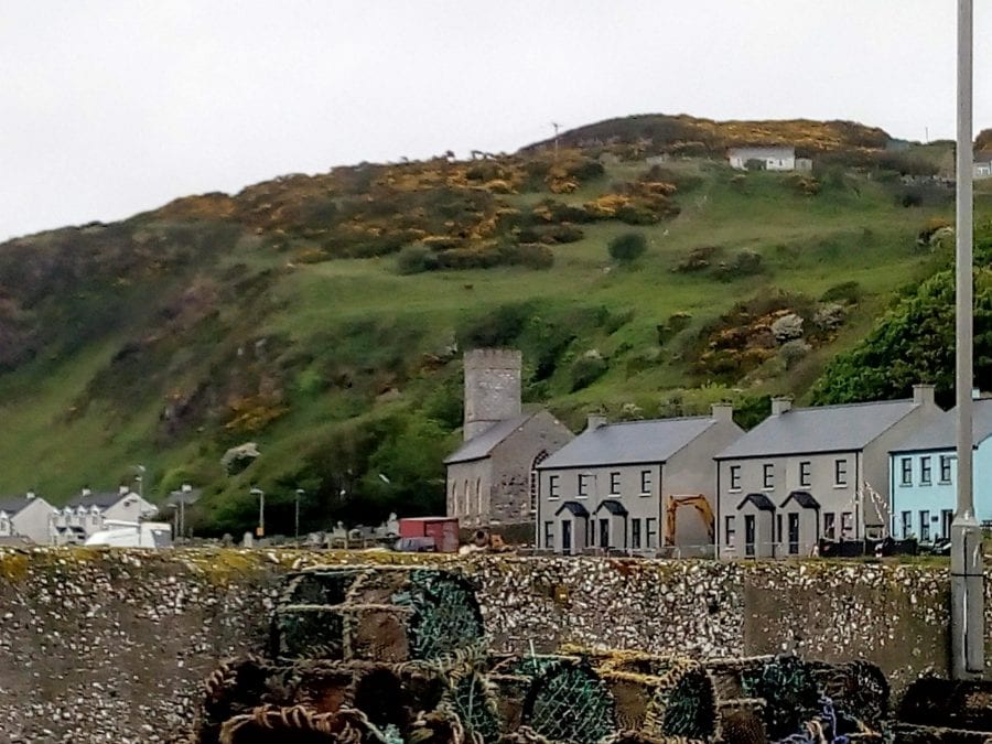 Rathlin Island - the ultimate what to do on Rathlin Island guide 