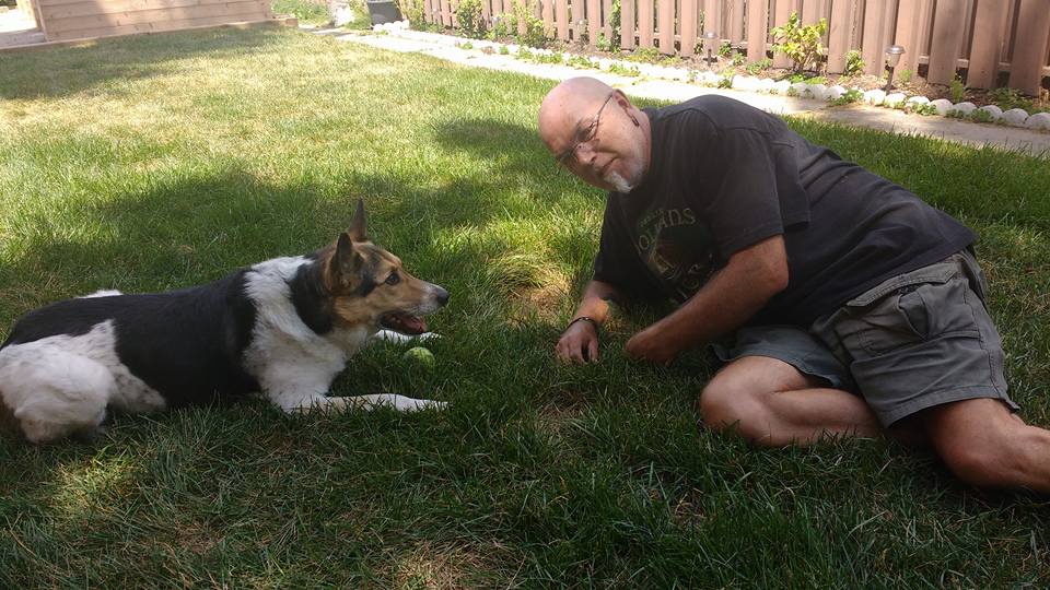 Cleo and Otis relaxing on the lawn in toronto