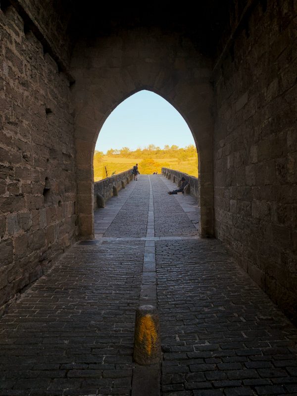 Walk the Camino de Santiago