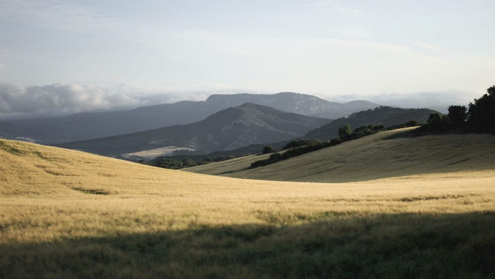 Walk the Camino de Santiago