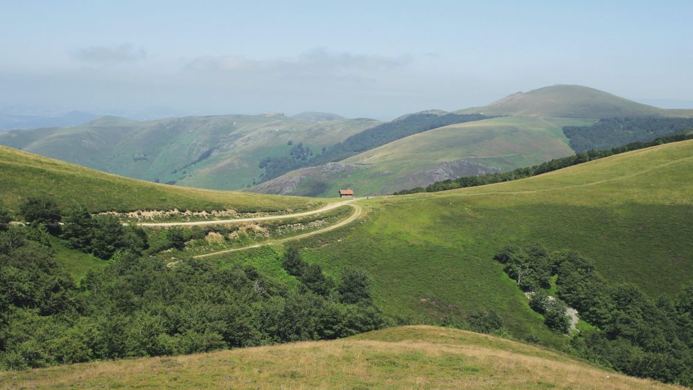 Walk the Camino de Santiago